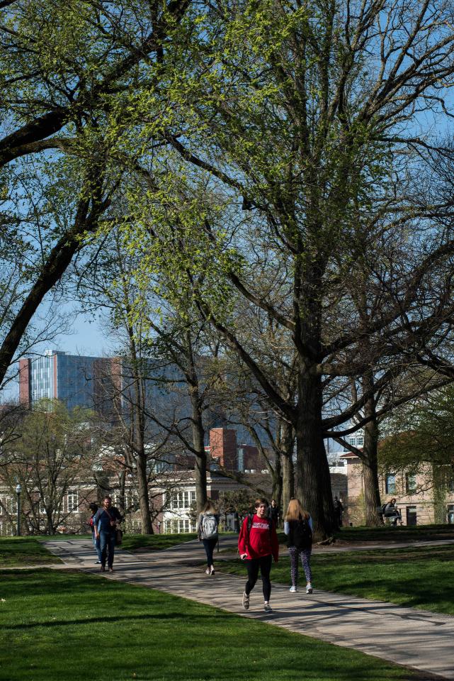 A picture of campus walkway with a trees providing a canopy, students walk on walkways, blue skies overhead.